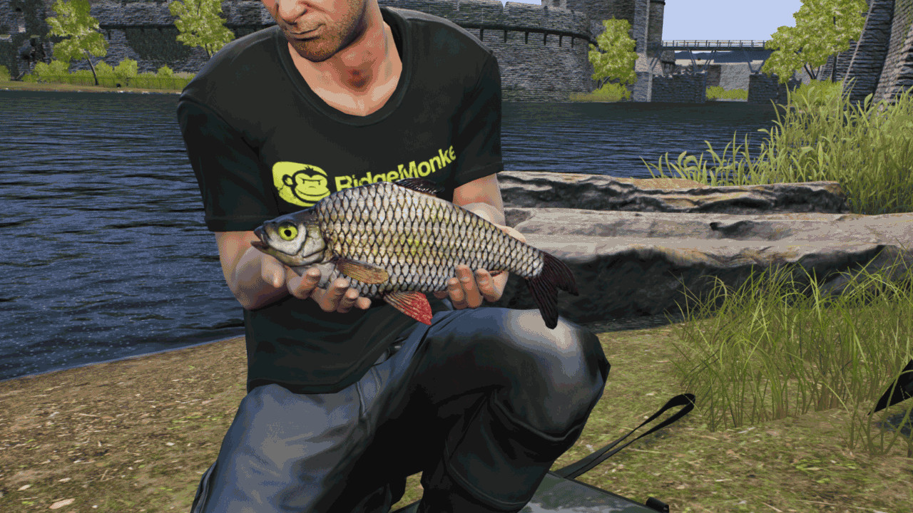 Euro Fishing - The Moat DLC Steam CD Key Screenshot 3