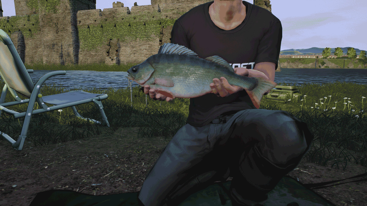 Euro Fishing - The Moat DLC Steam CD Key Screenshot 7