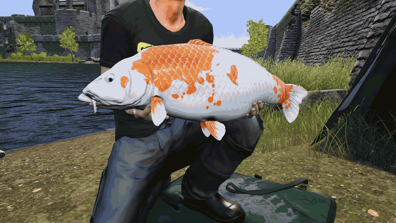 Euro Fishing - The Moat DLC Steam CD Key Screenshot 9