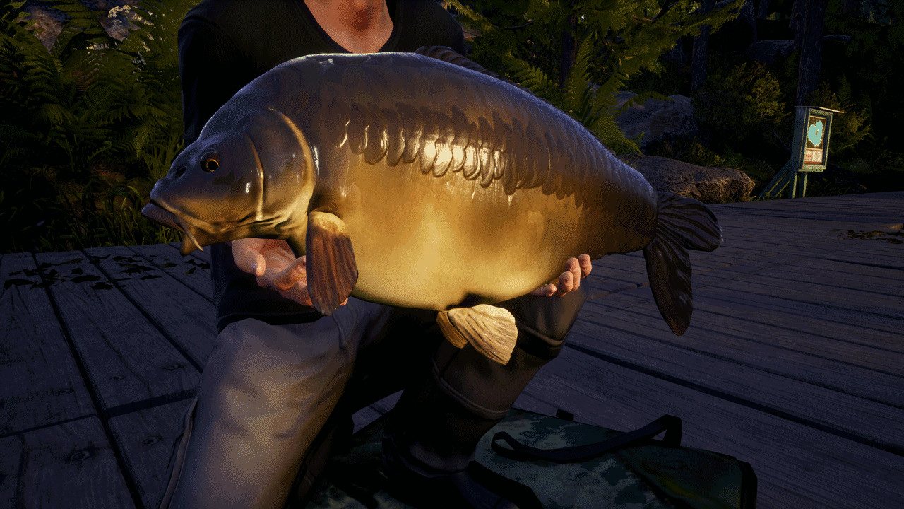 Euro Fishing - Waldsee DLC Steam CD Key Screenshot 3
