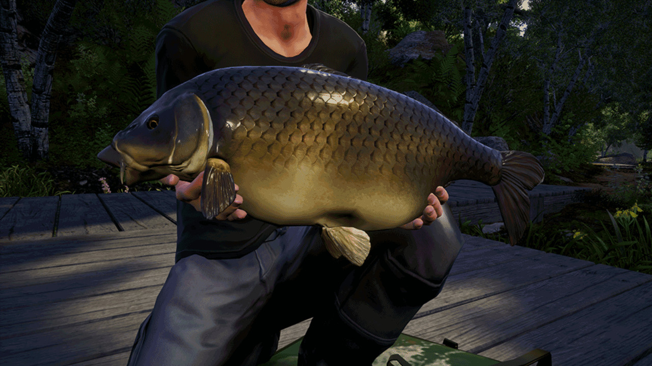 Euro Fishing - Waldsee DLC Steam CD Key Screenshot 6