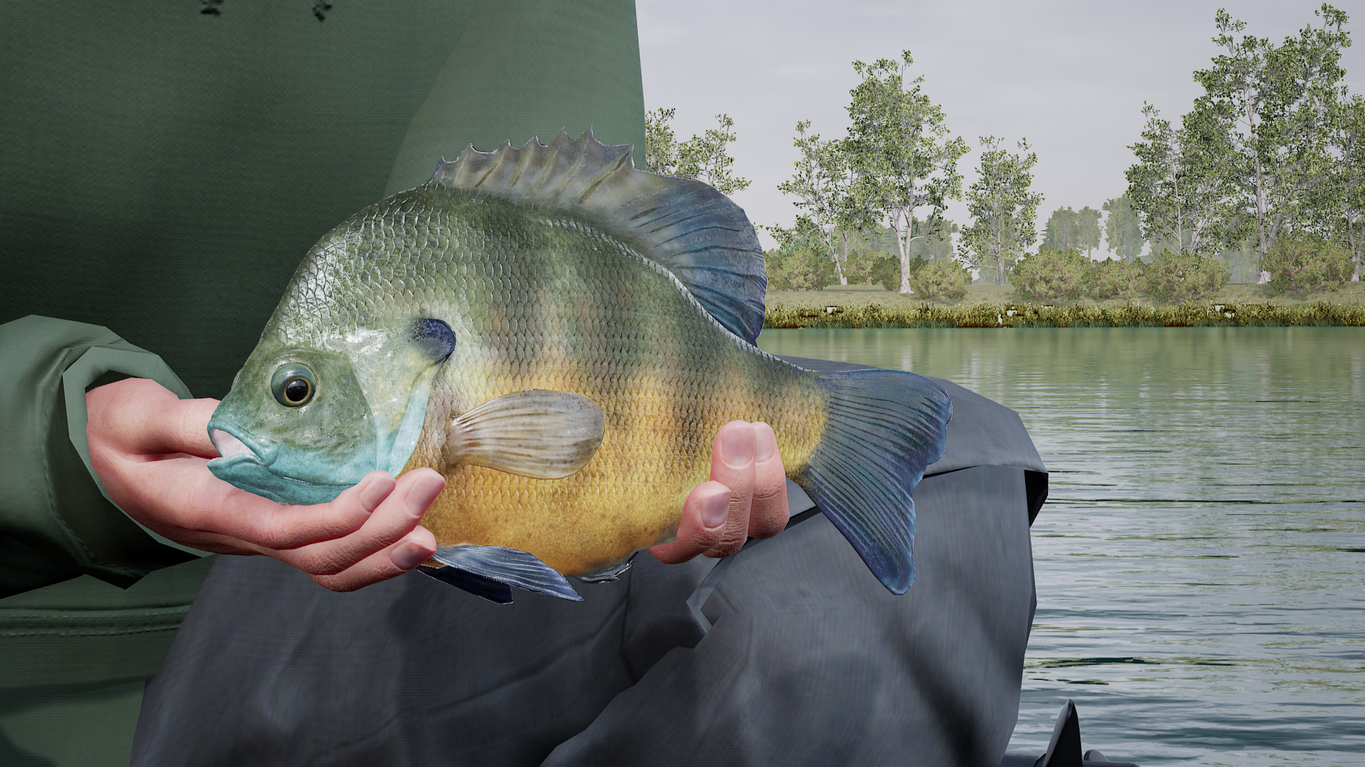 Fishing Sim World: Pro Tour - Lake Williams DLC Steam CD Key Screenshot 5