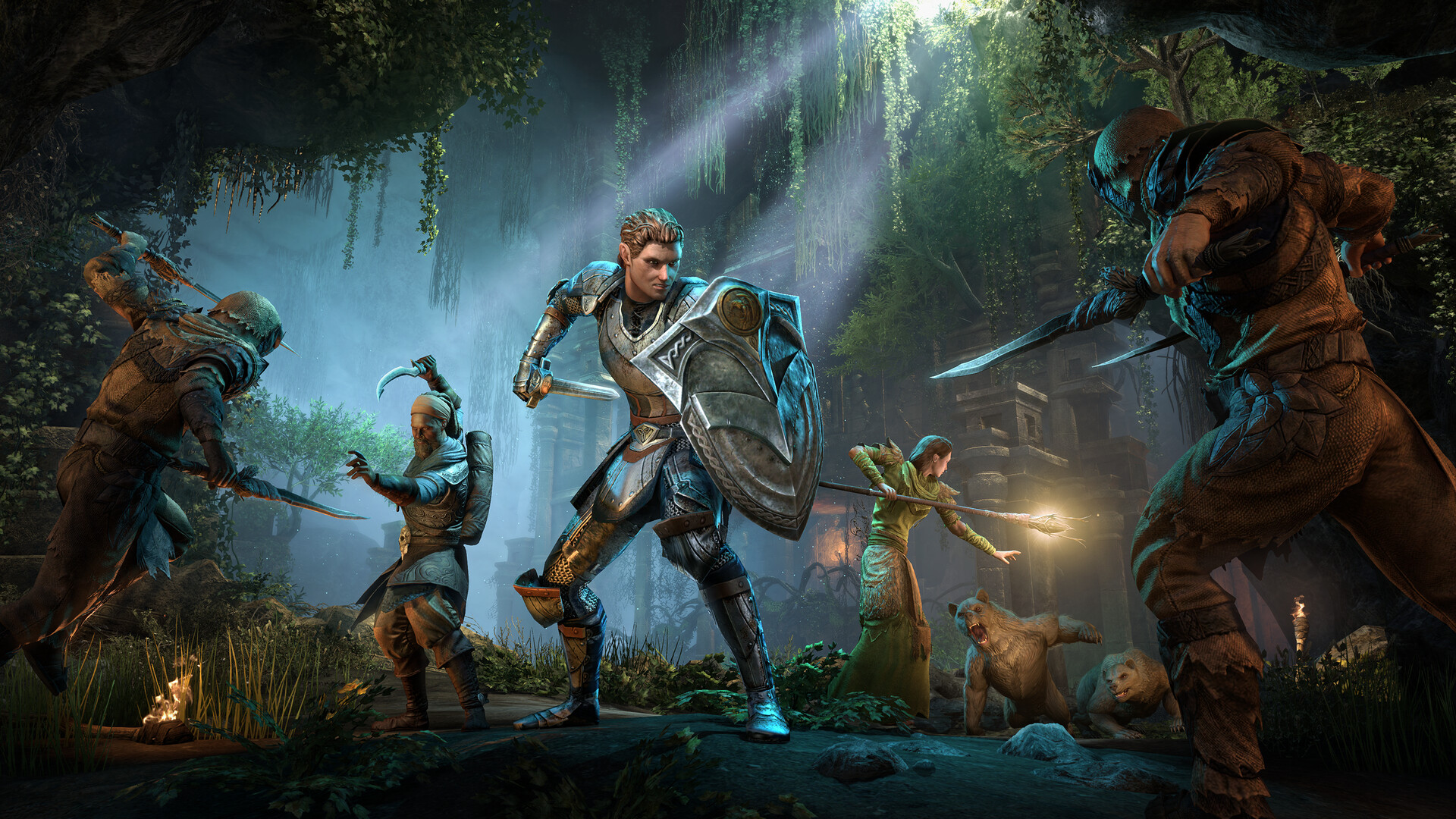 The Elder Scrolls Online Standard Edition - PC (Steam) Screenshot 6